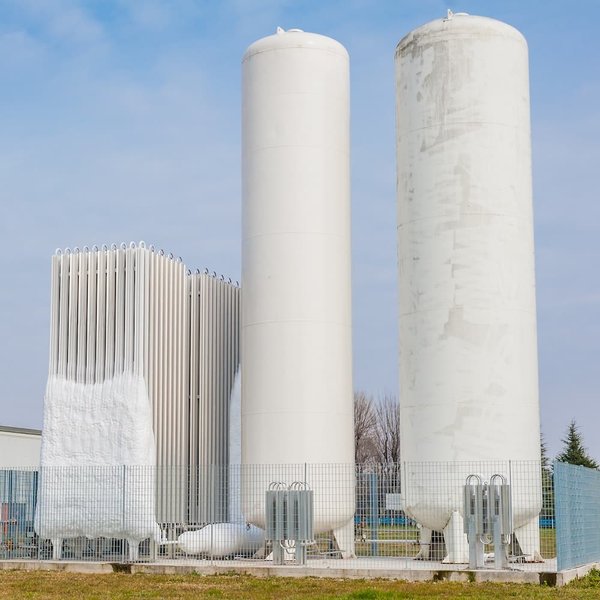 What Are the Best Plants for Creating an Indoor Oxygen-Rich Environment?