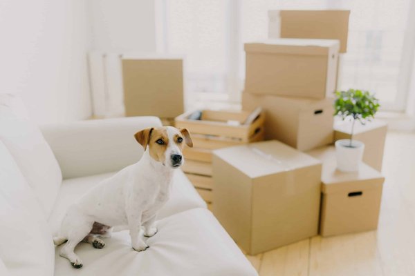 What Are the Best Comfortable Heel Designs for Teachers Standing All Day?