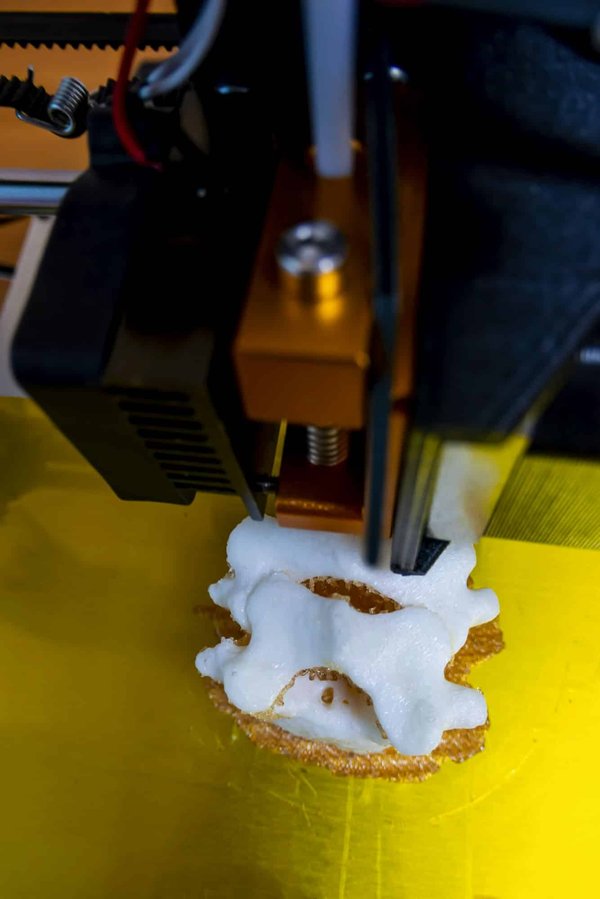 How Are 3D Bioprinted Tissues Being Used in Drug Toxicity Testing?