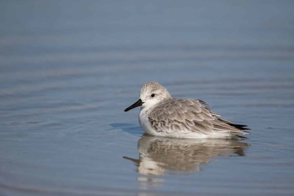 What's the Potential of Tidal Power in the UK's Renewable Energy Strategy?